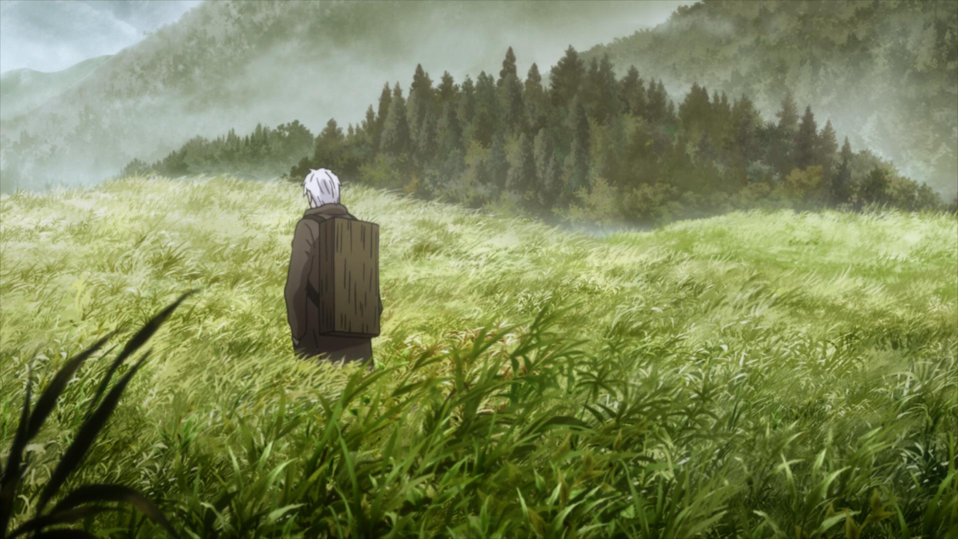 Мастер муси, Mushishi - топ 12 самых атмосферных аниме