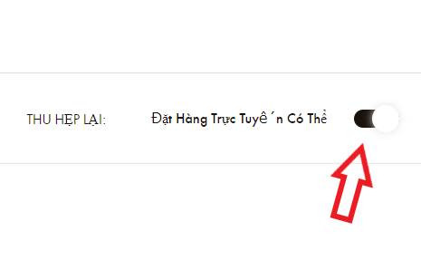 túi LV chính hãng