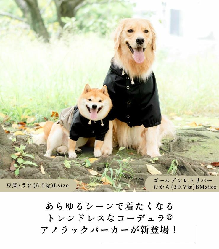 菊柄浴衣
日本限定狗狗寵物服飾品牌推薦 6.RADICA 涼感透氣無袖背心