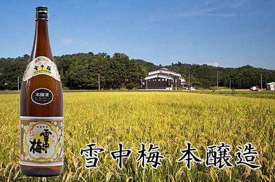 必嚐必買!甘口清酒推薦 2.8 新潟縣|丸山酒造 【雪中梅 本醸造】