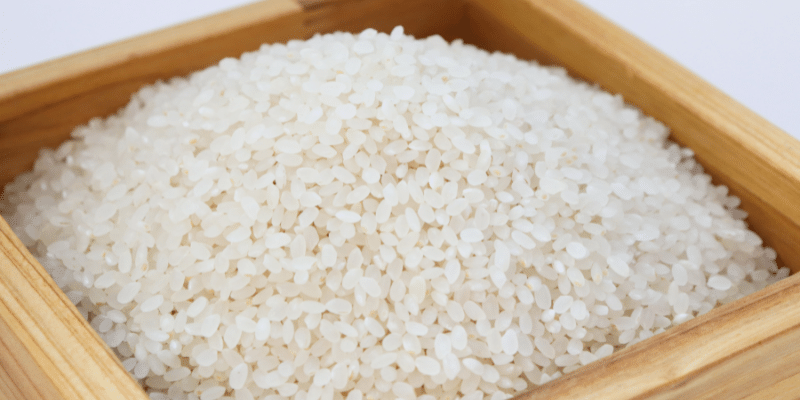 Arroz japonês