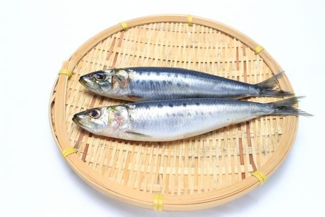 定番の節分の過ごし方 - イワシ