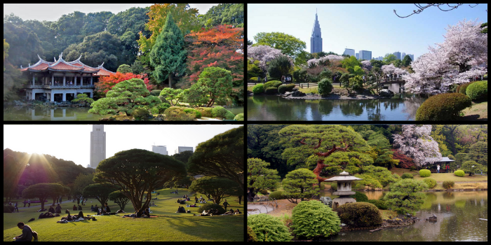 Shinjuku Gyoen - أفضل 15 وجهة سياحية في طوكيو، اليابان