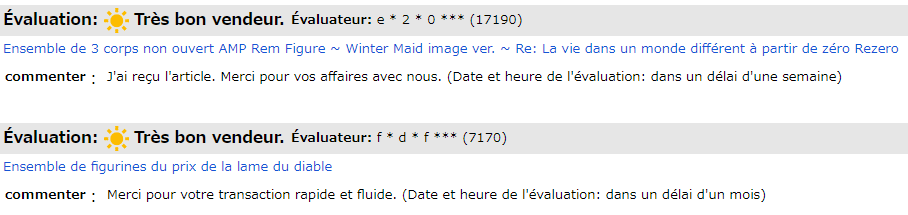 Évaluation vendeur JDirectItems Auction avec ZenMarket