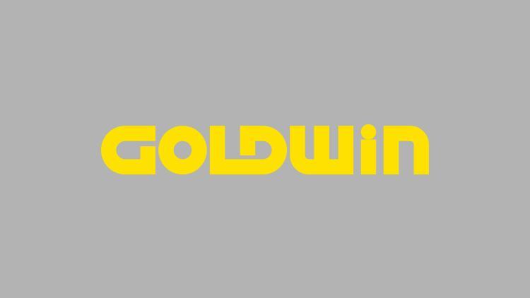 Goldwin Logo