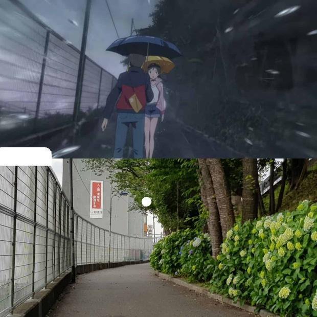 anime đứa con của thời tiết