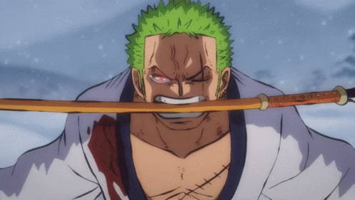 zoro lawan gif