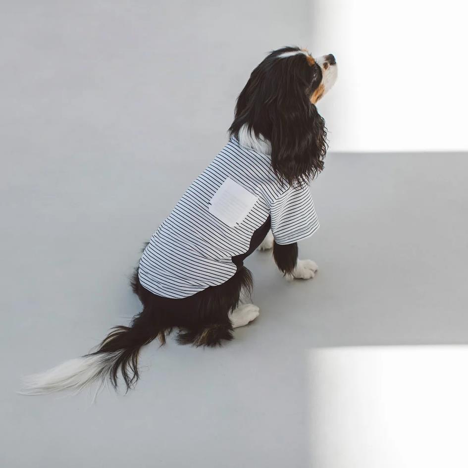 菊柄浴衣
日本限定狗狗寵物服飾品牌推薦 4.free stitch 鑲邊條紋T恤