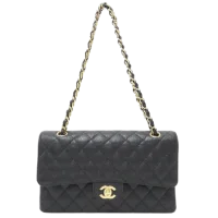 Chanel Popular Luxury Bag by Brands 