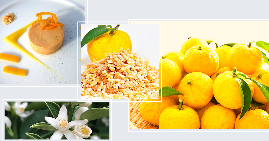 Yuzu, le citron japonais