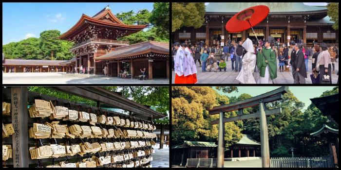 Meiji Jingu - أفضل 15 وجهة سياحية في طوكيو، اليابان