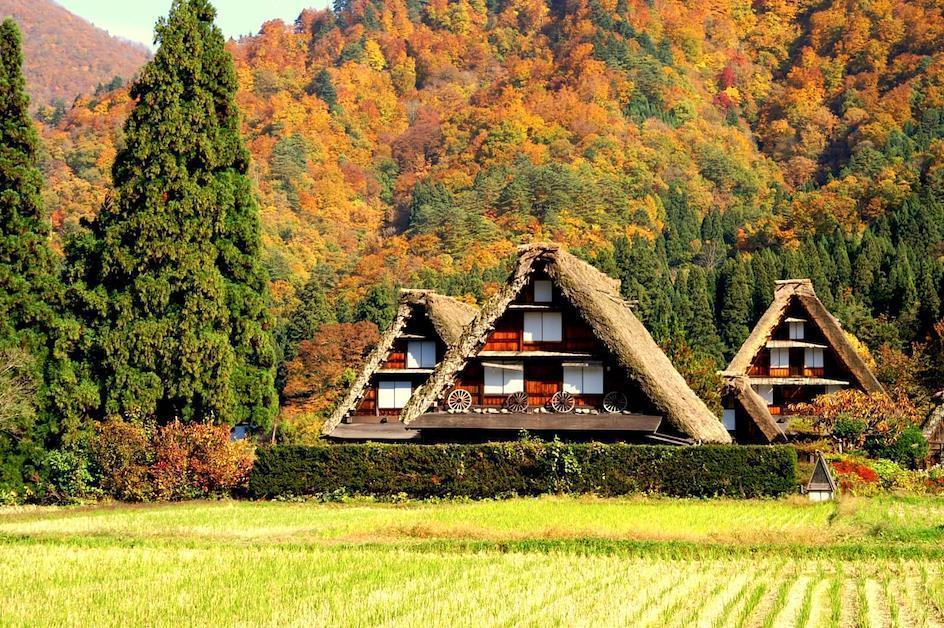 Сиракава-го, Гифу