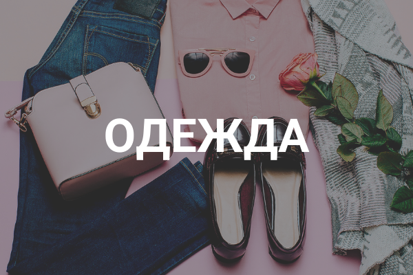 Одежда