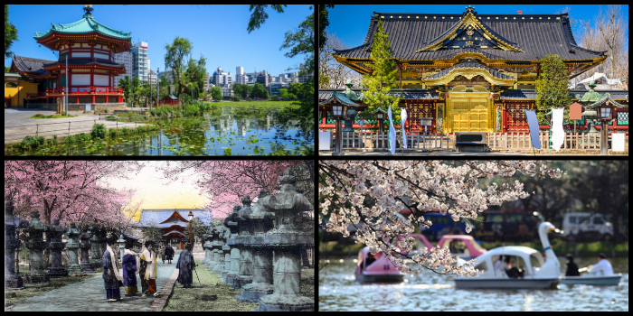 Ueno Park - أفضل 15 وجهة سياحية في طوكيو، اليابان