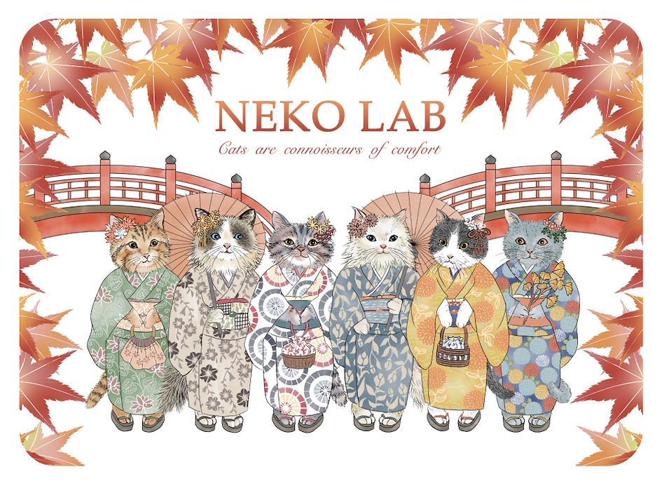 日本秋季限定點心禮盒推薦 NEKO LAB|秋季限定 貓咪餅乾禮盒