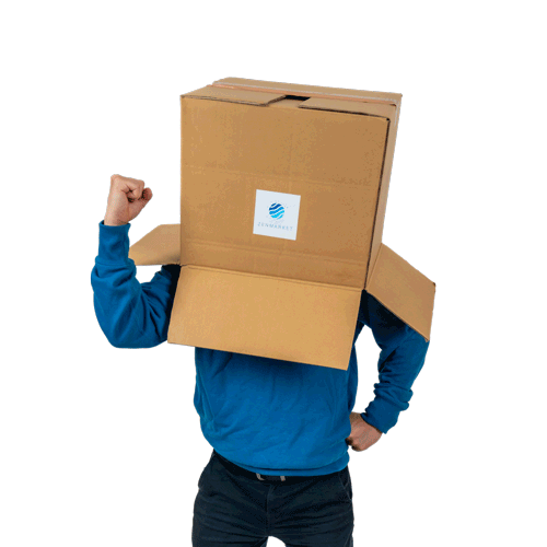tanczący boxhead