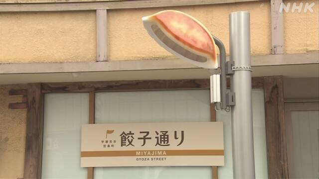 日本街頭出現巨大餃子!
