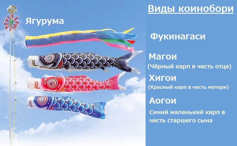 Виды коинобори