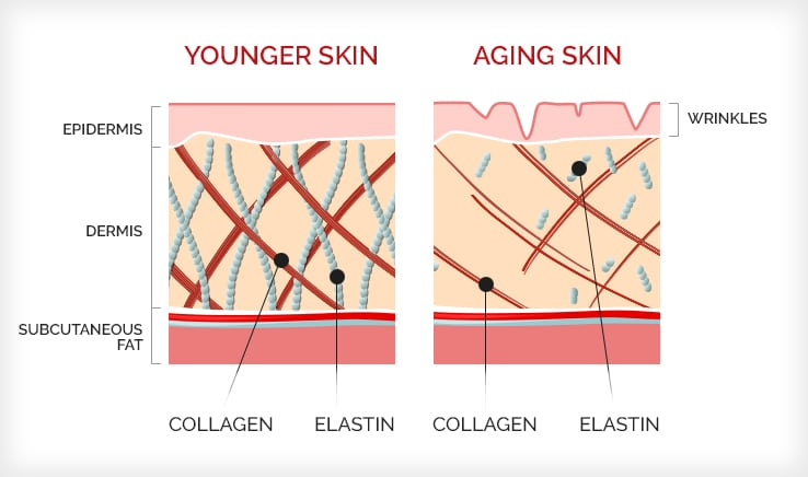 collagen