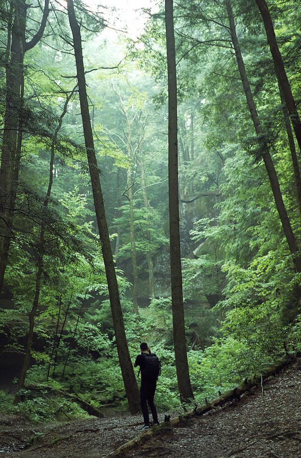 Retrato de un hombre en un bosque tomado con una Nikon F2. Foto cortesía de FStoppers.