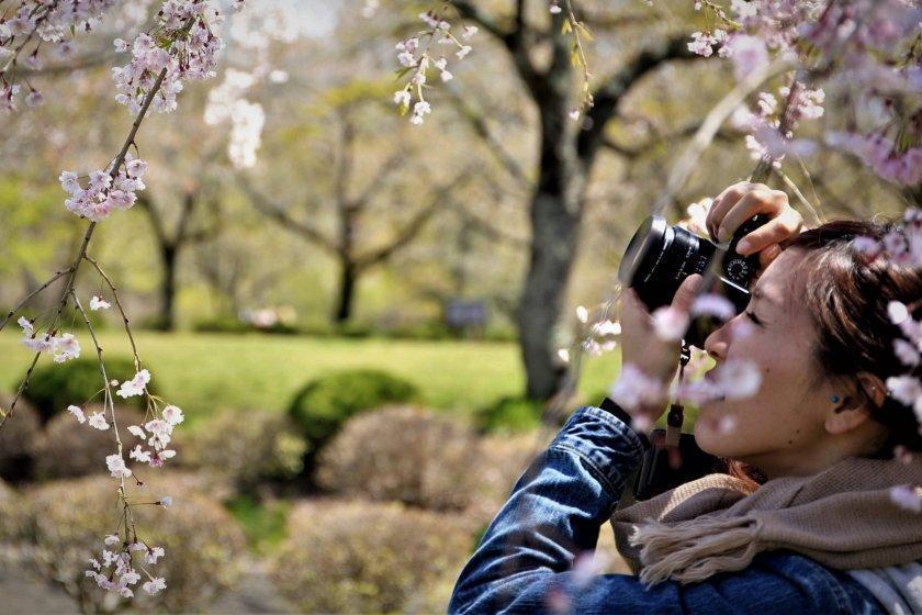 Japanese garden photography class