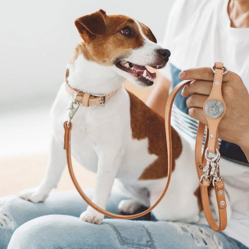 能幹貓今天也憂鬱
犬用真皮牽繩