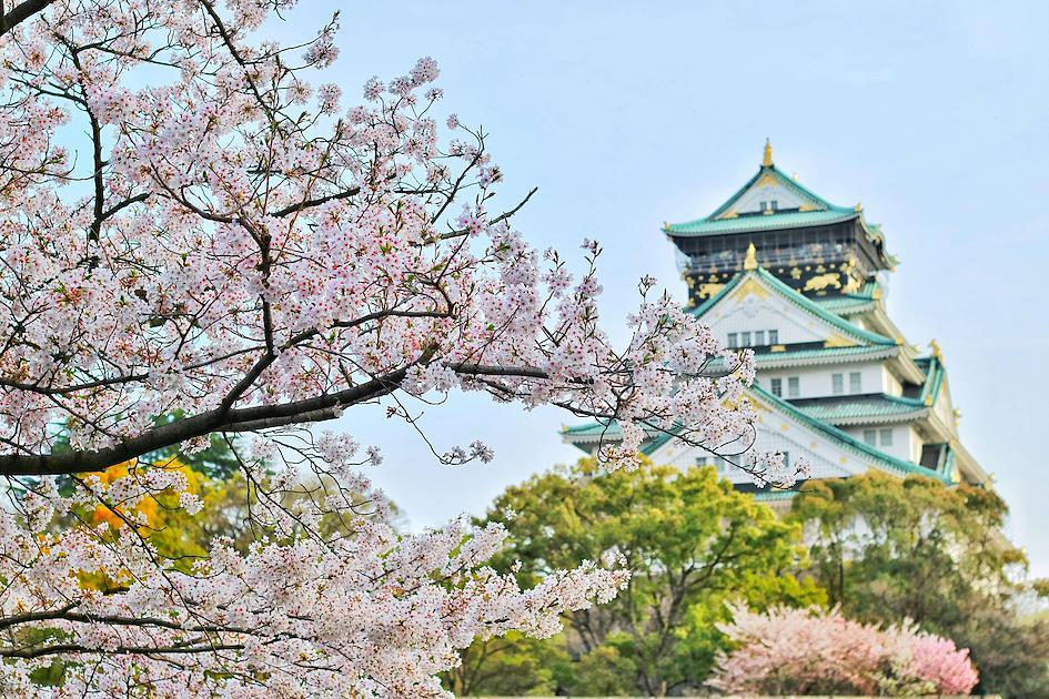 Hirosaki Castle Park in Japan
