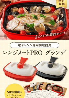 japon ev ara&ccedil; ve gere&ccedil;leri