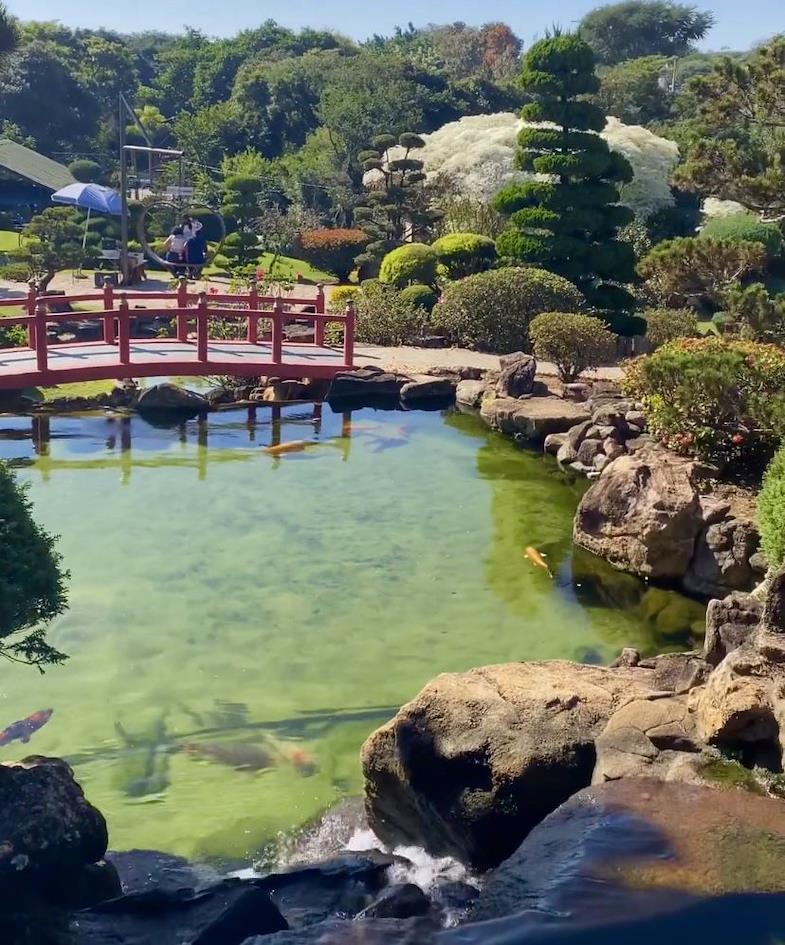 Jardim japonês