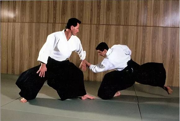 Nguy&ecirc;n l&yacute; v&otilde; Aikido Nhật Bản