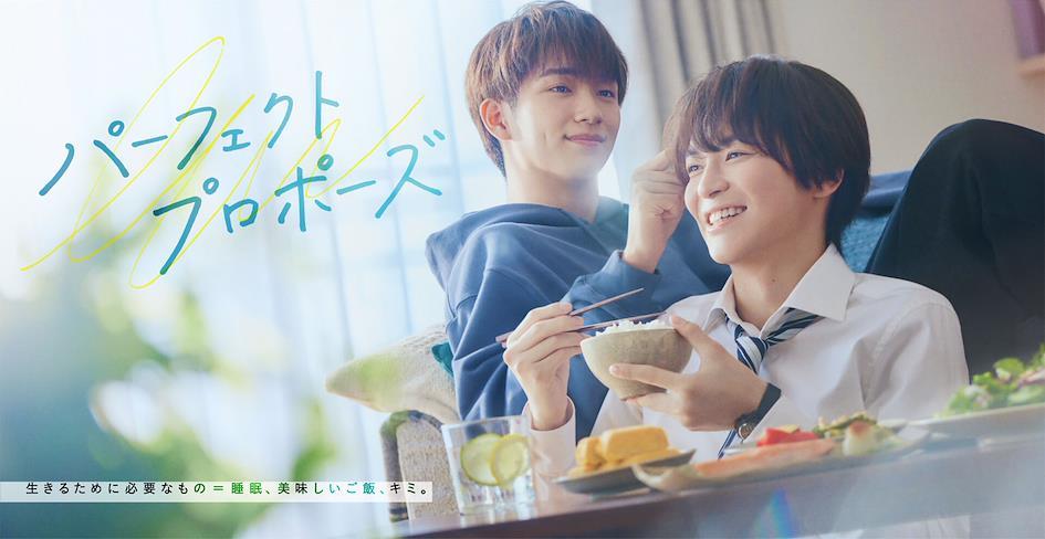 2024必看13部BL真人日劇介紹 5.《Perfect Propose》（パーフェクトプロポーズ）