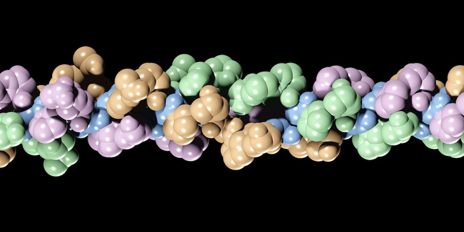 collagen 