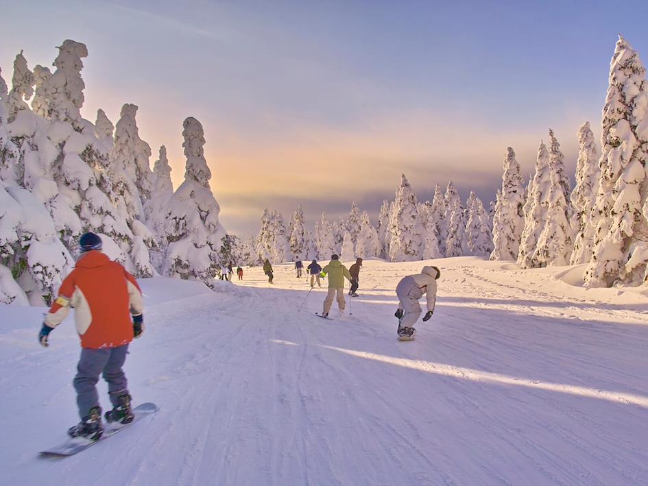 Skiing and Snowboarding in Japan