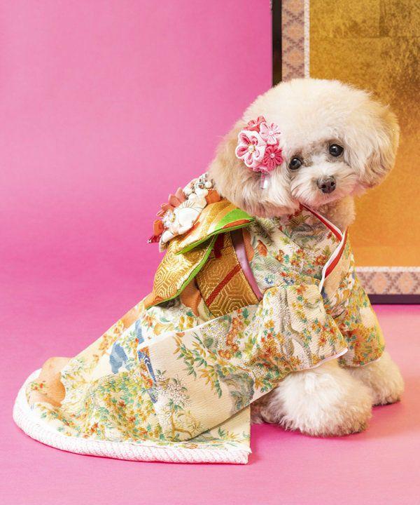 史努比背帶褲
日本限定狗狗寵物服飾品牌推薦 8.as know as de wan 奢華振袖和服