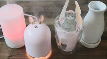 Humidificateurs Daiso