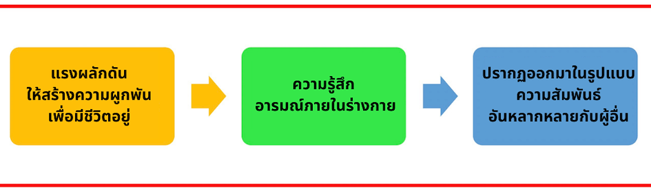 กระบวนการความรัก