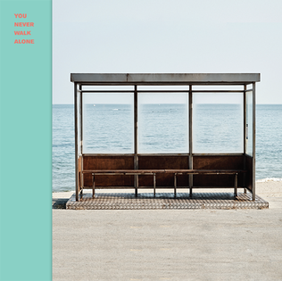 BTS You Never Walk Alone &Uuml;r&uuml;nleri