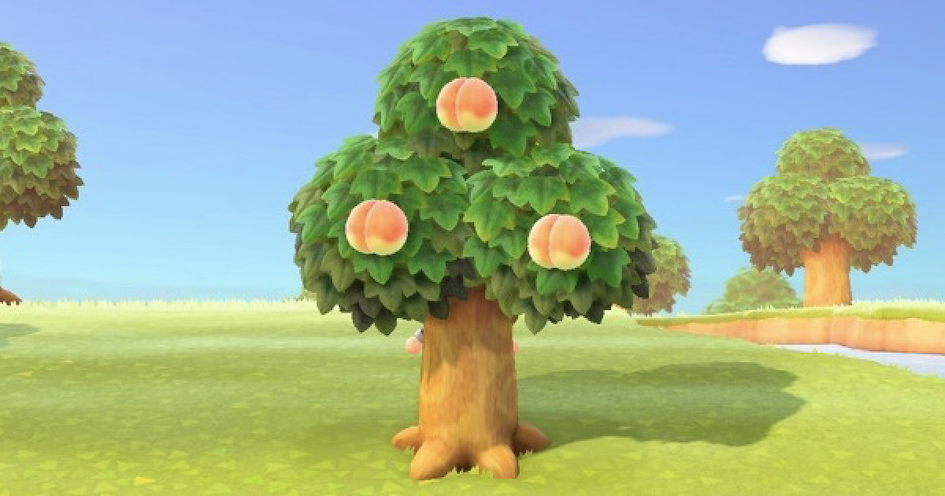 どうぶつの森 くだもの狩り
