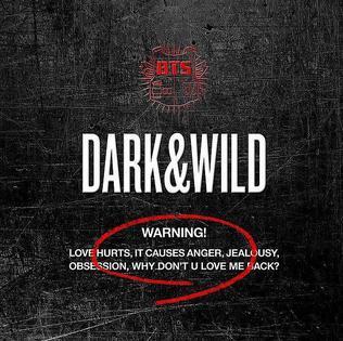 BTS Dark Wild &Uuml;r&uuml;nleri