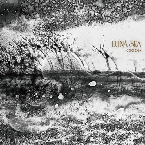 SA700 Luna Sea  Cross