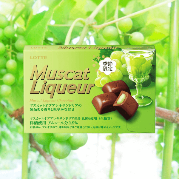 6. LOTTE|季節限定 麝香葡萄利口酒巧克力