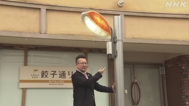 栃木縣宇都宮市餃子造型街燈
