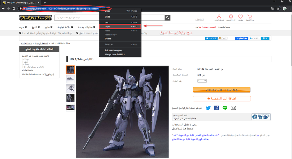 How To Buy From P-Bandai Japan