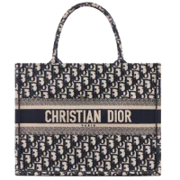 Dior Popular Luxury Bag by Brands 