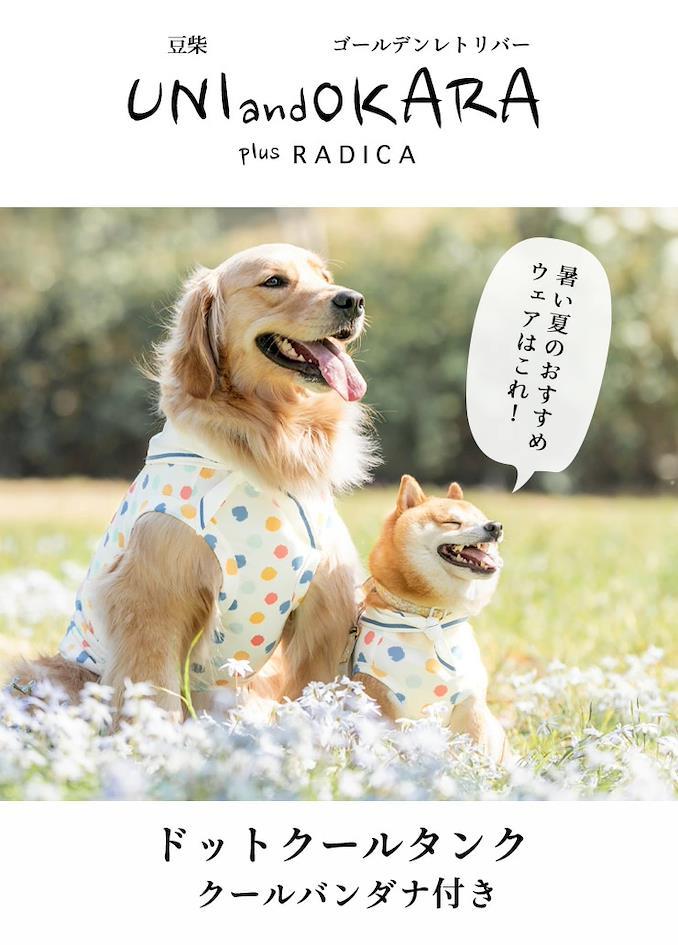 史努比背帶褲
日本限定狗狗寵物服飾品牌推薦 6.RADICA 海岸印花背心