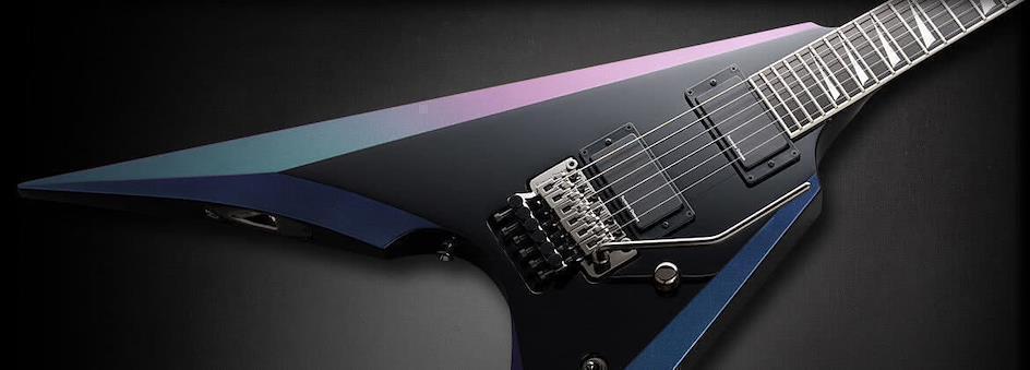 ESP Custom Shop Customized Guitar