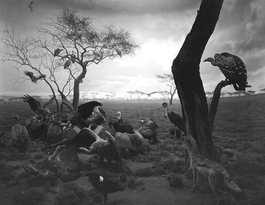 Dioramas by Hiroshi Sugimoto