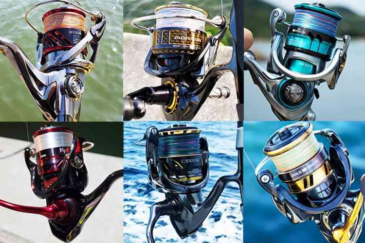 Vài mẫu máy câu Shimano