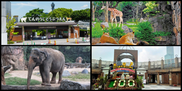 Tennoji Zoo - أفضل الأماكن السياحية في أوساكا اليابان