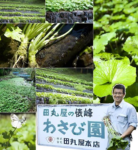 株式会社田丸屋本店